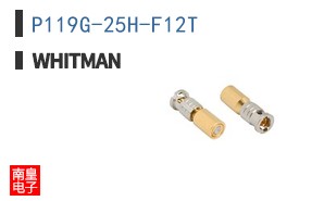 P119G-25H-F12T ͼƬ